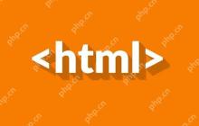 HTML 按钮的大小和形状怎么定制