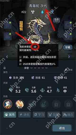 提灯与地下城宠物亲密度提升攻略