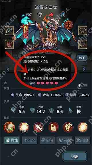 提灯与地下城宠物亲密度提升攻略
