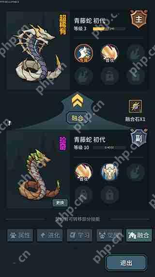 提灯与地下城宠物亲密度提升攻略