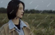 对线面试官 - 硬件级别之再谈Volatile关键字的可见性