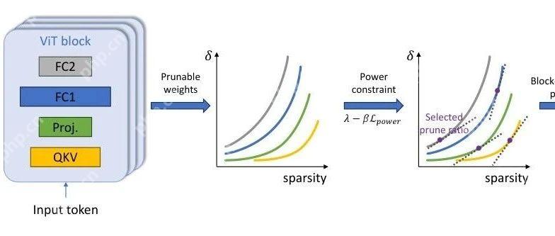 从 DeiT-B 到 DeiT-S，块结构化剪枝在深度 ViTs上 的应用 ！