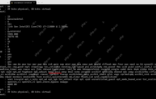 windows 下 基于 WSL2安装DeepSpares进行YOLOV8 v5 的加速推理