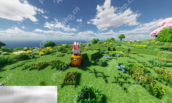 我的世界PCL2怎么联机 模组房间创建教程