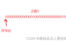 C语言：操作符详解（超详细的操作符详解）