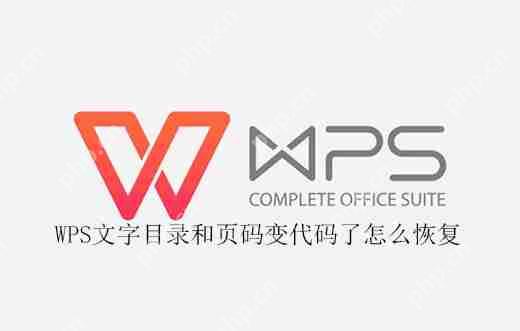 WPS文字目录和页码变代码了怎么恢复