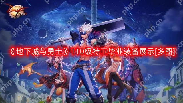 DNF特工110版本装备是什么-地下城与勇士110级特工毕业装备展示[多图]