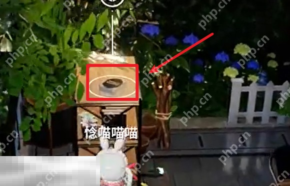 开放空间罗塔花园广场书籍在哪 罗塔花园广场书籍位置