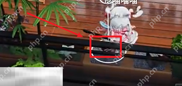 开放空间罗塔花园广场书籍在哪 罗塔花园广场书籍位置