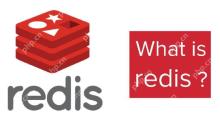 Redis在日志分析项目中的数据存储与查询应用