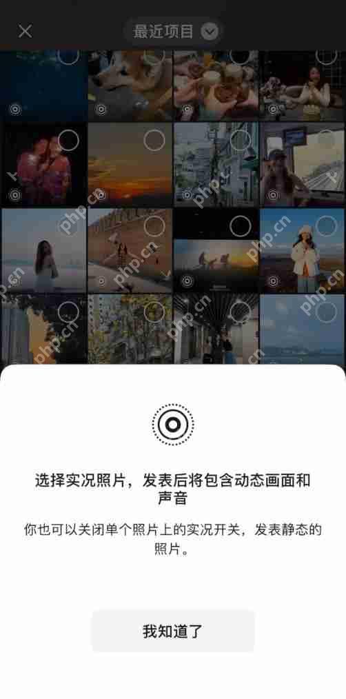 微信Android版手机朋友圈也能发实况照片了