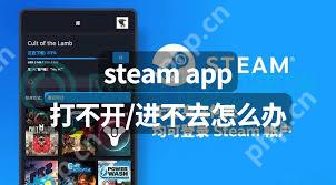 steam安卓手机版无法启动怎么办