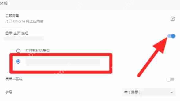 谷歌浏览器怎么修改默认主页-谷歌浏览器修改默认主页的方法