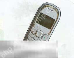 开放空间樱庭世界昼收藏品有哪些 樱庭世界昼收藏品汇总