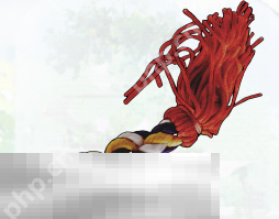 开放空间樱庭世界昼收藏品有哪些 樱庭世界昼收藏品汇总