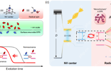 中国科大实现基于金刚石量子传感的并行加速电子顺磁共振谱学探测