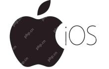 HDR功能开启：逆光环境下的最佳选择