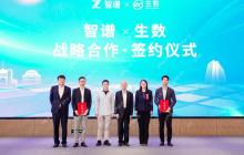 清华系智谱×生数达成战略合作，专注大模型联合创新