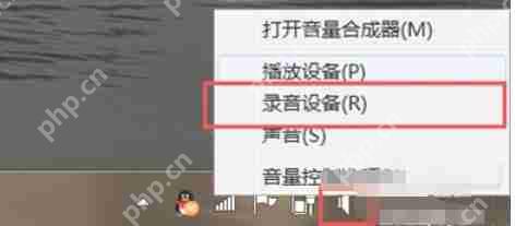 RealTek高清晰音频管理器怎么设置麦克风说话音响发声-RealTek高清晰音频管理器麦克风说话音响发声的方法
