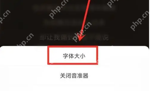 全民k歌唱歌如何出红颜的字 全民k歌设置歌词字体方法