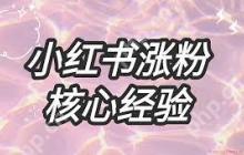 小红书涨粉技巧与素材视频教程