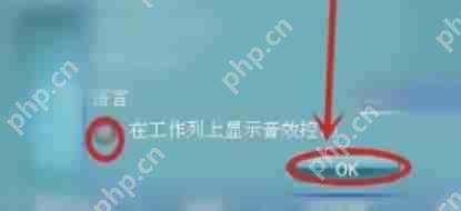 RealTek高清晰音频管理器怎么关掉任务栏的小喇叭图标-RealTek高清晰音频管理器关掉任务栏的小喇叭图的方法
