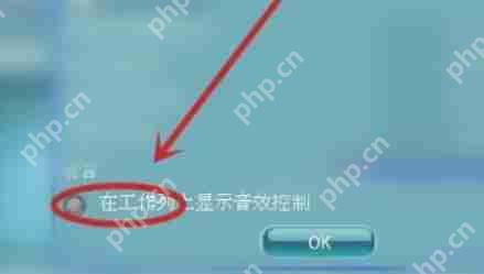 RealTek高清晰音频管理器怎么关掉任务栏的小喇叭图标-RealTek高清晰音频管理器关掉任务栏的小喇叭图的方法