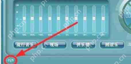 RealTek高清晰音频管理器怎么关掉任务栏的小喇叭图标-RealTek高清晰音频管理器关掉任务栏的小喇叭图的方法