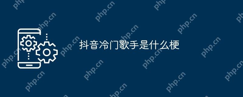 抖音冷门歌手是什么梗