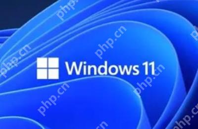 win11怎么清理电脑的存储空间