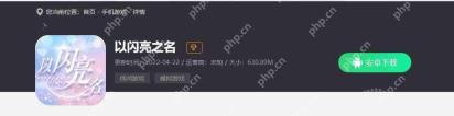 以闪亮之名什么时候公测-公测时间分享