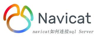 Navicat导入和导出数据时的性能优化建议