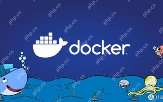 查看Docker容器內部進程信息的方法