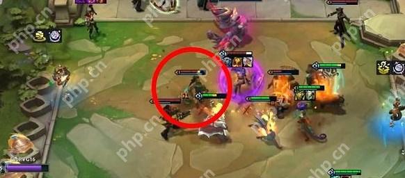 云顶之弈s9.5俄洛伊羁绊怎么样-s9.5俄洛伊羁绊效果