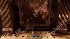 光与影 33 号远征队飞流域宅邸隐藏房间在哪-光与影 33 号远征队飞流域宅邸隐藏房间位置在哪