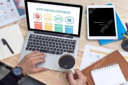 app软件开发需要用到哪些工具和语言？