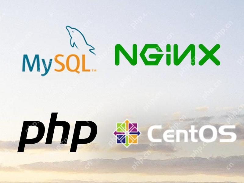 WordPress站点PHP8.0升级指南:插件兼容性测试