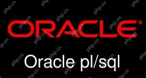 解决Oracle视图更新时的权限和数据一致性问题