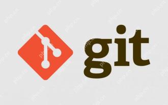 Comment utiliser des outils graphiques pour comparer les différences de version dans GIT