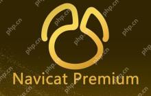 如何优化Navicat操作数据库的查询性能