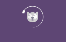 如何在PHPMyAdmin中执行带有参数的SQL语句