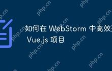 如何在 WebStorm 中高效开发 Vue.js 项目
