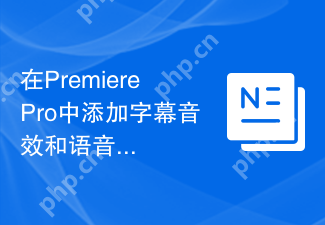 在PremierePro中添加字幕音效和语音旁白的方法