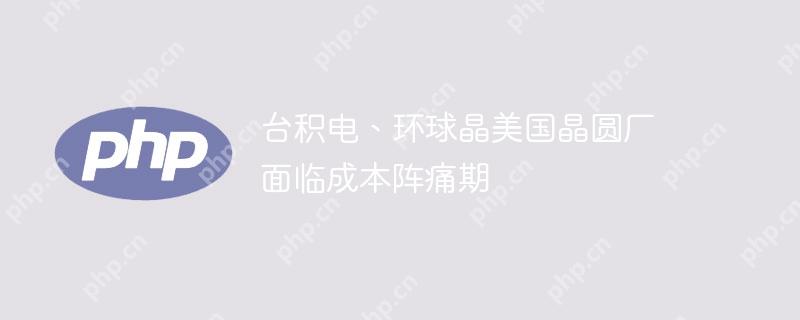 台积电、环球晶美国晶圆厂 面临成本阵痛期