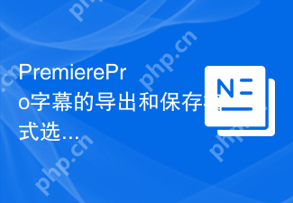 PremierePro字幕的导出和保存格式选择