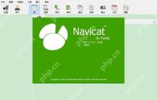 解决Navicat操作数据库时的“事务失败”问题的原因分析
