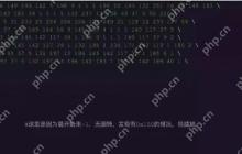 【解题报告】看雪·京东2018CTF—京东AI CTF大挑战特别题