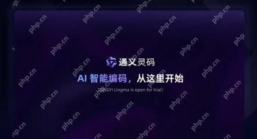 通义灵码不提示代码怎么回事