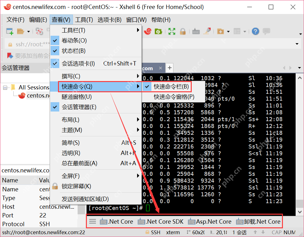 [netcore]CentOS安装使用.netcore极简教程（免费提供学习服务器） 		新生命团队netcore服务器免费开放计划