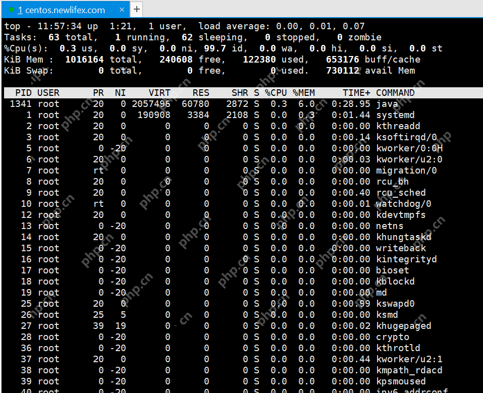 [netcore]CentOS安装使用.netcore极简教程（免费提供学习服务器） 		新生命团队netcore服务器免费开放计划